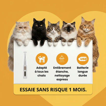 FurVexa™ – Tondeuse Anti-Nœuds pour Chat